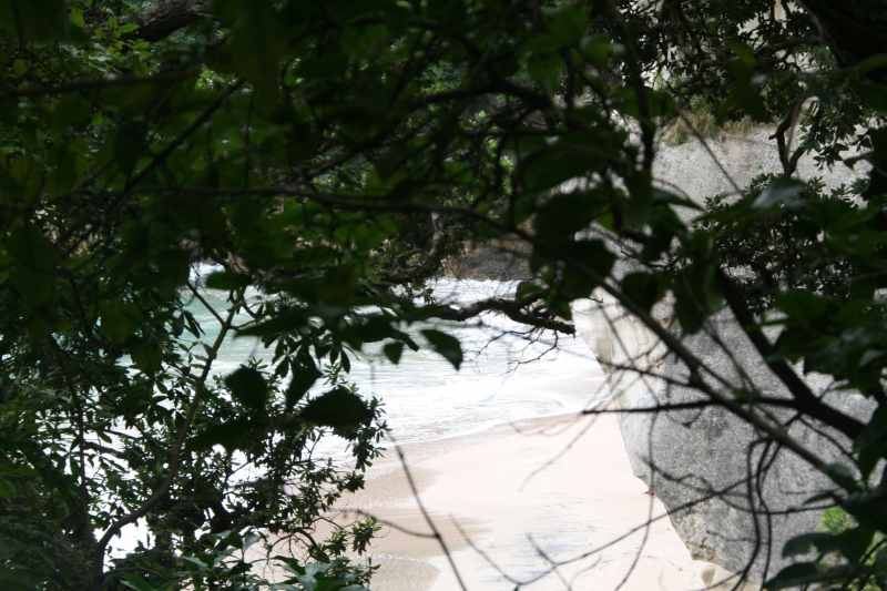 Nieuw-Zeeland 2011 - 0444